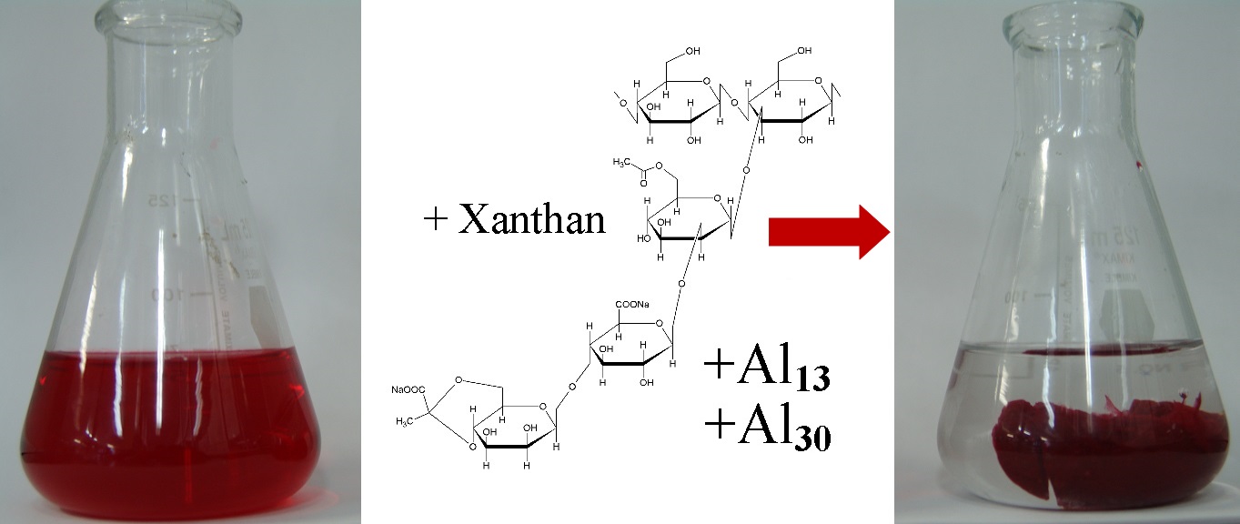 Dye removal by Xanthan gum